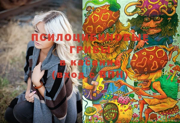 дживик Заволжье