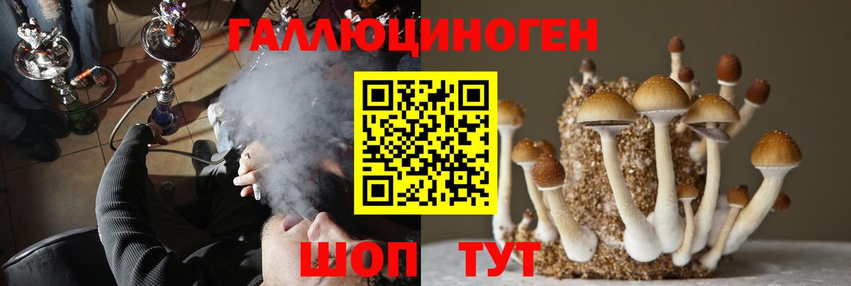 Псилоцибиновые грибы Psilocybine cubensis  Галлюциногенные грибы прущие грибы  Ирбит  Вход с VPN 